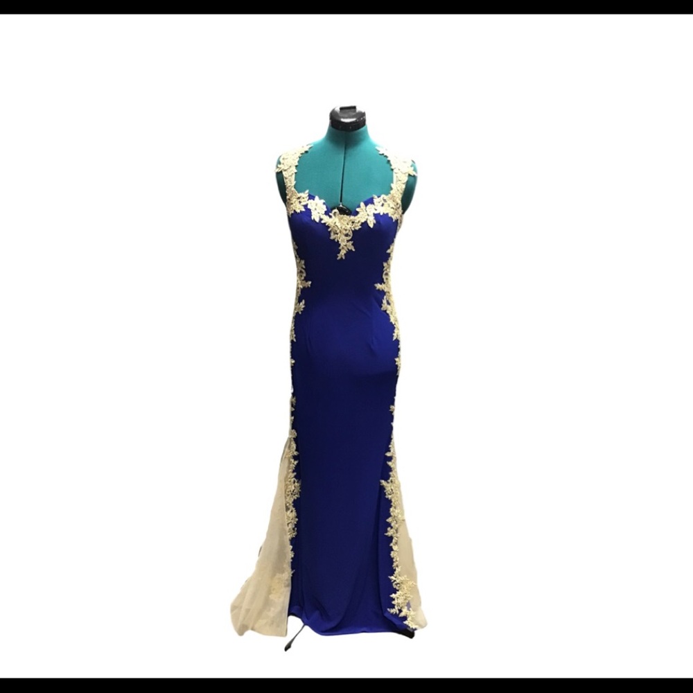Royal Blue and Gold Gown